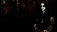 Brutal forest woods Music