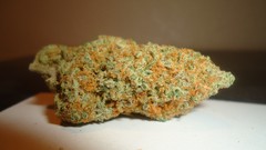 Bud marijuana kush nug