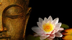 Buddha lotus flower