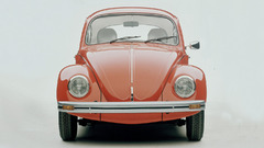 Bug Volkswagen beetle kever