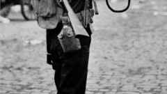 Bugleand bugle military