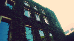 Buildings low-angle shot