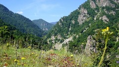 Bulgaria Belmeken-National Preserve