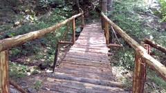 Bulgaria Dupnitsa Rural forests