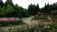 Bulgaria Rousse-Rose Garden
