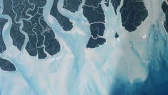 Bunch wow what scenic 001 sundarbans