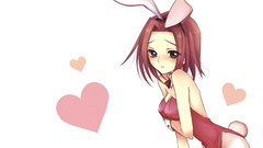 Bunnies code geass bunny
