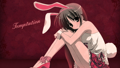 Bunny girl Anime girls