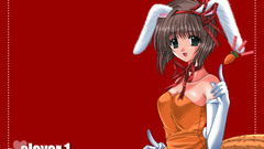 Bunny girls animal ears