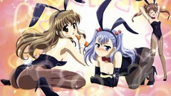 Bunny girls nogizaka haruka