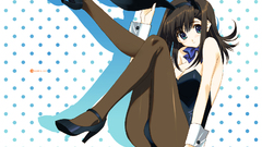 Bunny girls pantyhose animal