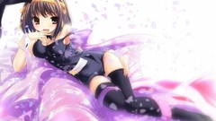 Bunny girls the melancholy