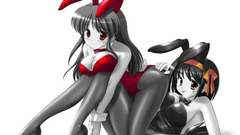 Bunny suit suzumiya haruhi