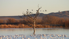 Busywell This is all