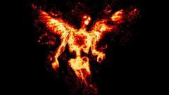 But cant really should doesnt