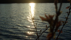 But like just couldn had