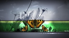 Butterflies complex magazine Uni.Q