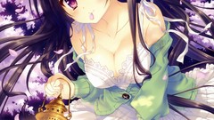 Butterflies dress lanterns long hair anime girls brunettes 