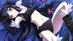 Butterflies gloves stockings long hair anime girls accel world 