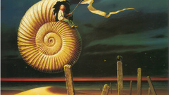 Butterflies goldfish Flags shells Beaches spirals high chimera 