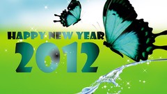 Butterflies new year happy new year Greetings Card