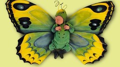 Butterflies sleeping babies Anne Geddes