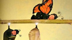 Butterflies sleeping babies Anne Geddes