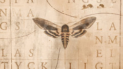 Butterfly Books old poor