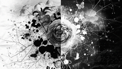 Butterfly dark rose flower