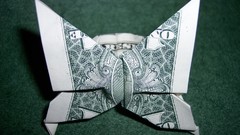 Butterfly Dollar bills insect