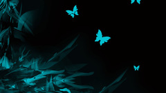 Butterflyq can get )