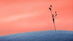 By solkku basvasdra warm