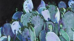 Cacti moon dance high