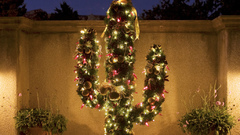 Cactus Christmas Lights