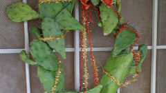 Cactus wreath high