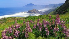 California California Coastline