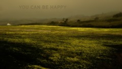 California fields Cartoon Network adult swim you can be happy