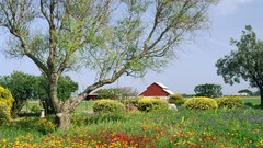 California Mission Monterey complex magazine soledad