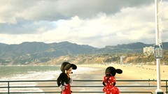 California national geographic mickey