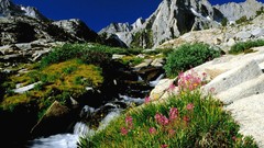 California peak nevada sierra