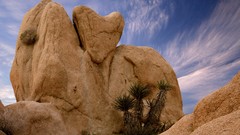 California rocks national park joshua tree national park