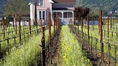 California vineyard valleys
