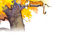 Calvin and hobbes