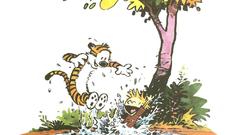 Calvin and hobbes puddles
