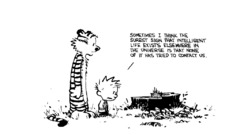 Calvin and Hobbes Truth