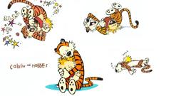 Calvin and hobbes white