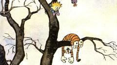 Calvin calvin and hobbes