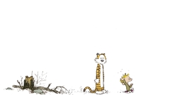 Calvin Hobbes calvin and