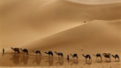 Camel caravan libya World
