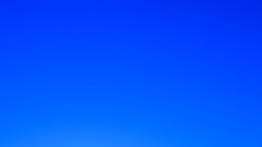 Camera filter of course